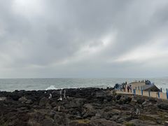 -硇洲岛旅游区