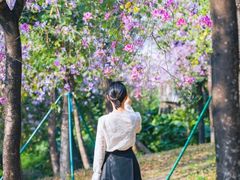 -广东花都湖国家湿地公园