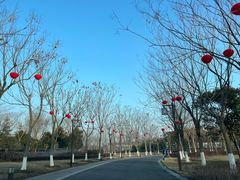 -黄海国家森林公园