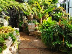 -国家植物园南园