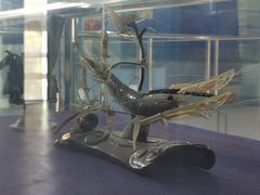 -上海海洋大学鱼文化博物馆(军工路校区)