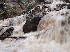 -火炉山森林公园