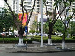 -万绿园