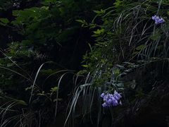 -龙门涧景区