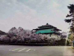 -武汉大学-樱园