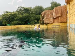 -上海玛雅海滩水公园