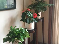 大堂-黔蘑菇四季餐厅(观山湖店)