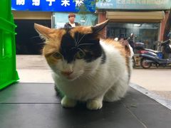 -刘信牛羊肉小炒泡馍(回民街店)