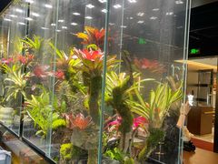 -扶摇湘宴·烤鸭·湘粤宴(中关村·北大店)