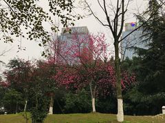 -百林公园-两江幸福广场