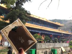 -普陀山风景名胜区-法雨禅寺