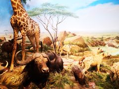 -陕西自然博物馆