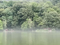 -紫霞湖公园