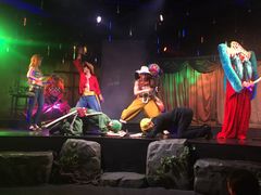 -东京塔海贼王主题公园