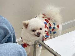 -怪兽屋·羊驼·猫咖·狗咖(俊华广场店)