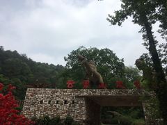 -木兰云雾山