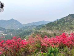 -木兰云雾山