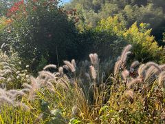 -会稽山峡洞漂流-上青古道