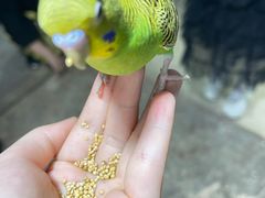 -嘉兴海底世界
