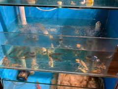 -Thai Basil罗勒叶泰式餐厅(时代天街店)