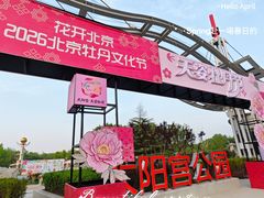-太阳宫公园