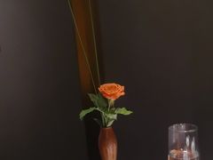 -觀芷隐轩