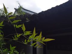 -上海方塔园
