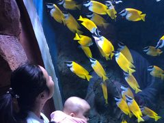 -华夏文旅海洋公园