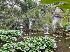 -深圳国际园林花卉博览园