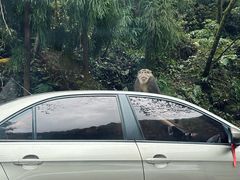 -西岭雪山大飞水景区