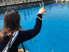 -华夏文旅海洋公园