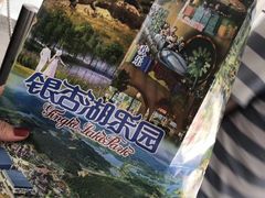 -南京银杏湖乐园