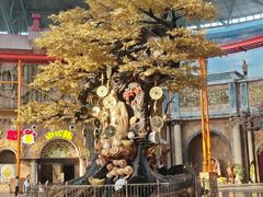 -东方山水乐园山之王国(全室内)