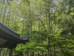 -灵顺寺