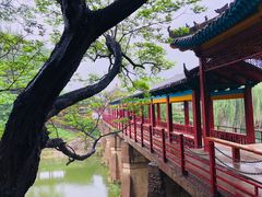 -赵州桥景区