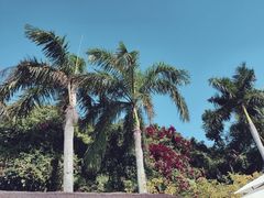 -三亚蜈支洲岛旅游区