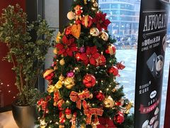 门店圣诞树-哈根达斯(国瑞店)