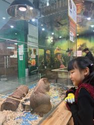 -神奇动物撸宠馆·羊驼·小浣熊·异宠(豫园店)