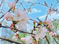 -西北湖绿化广场