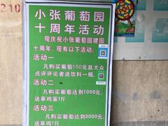 -马陆小张葡萄园农家乐