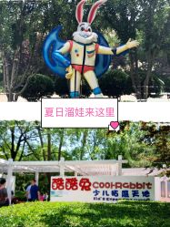 -酷酷兔少儿拓展天地