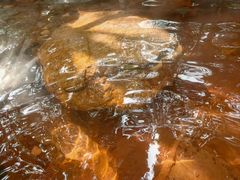 -湖泉半山温泉(湖泉生态园)