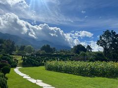 -云禾壹海景庄园餐厅