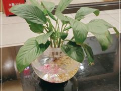 -桂林肥仔·中华餐饮名店(园湖店)