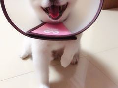 -美迦爱-牙专科·兔科·骨科诊疗中心(北苑店)