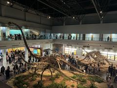 -自贡恐龙博物馆