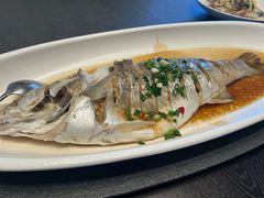 -味到1981日照海鲜·渔饺子
