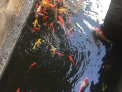 -广富林宰相府酒店·水云间