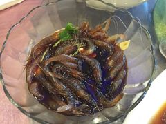 -大金山酒店