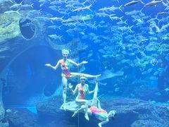 -多彩贵州城极地海洋世界